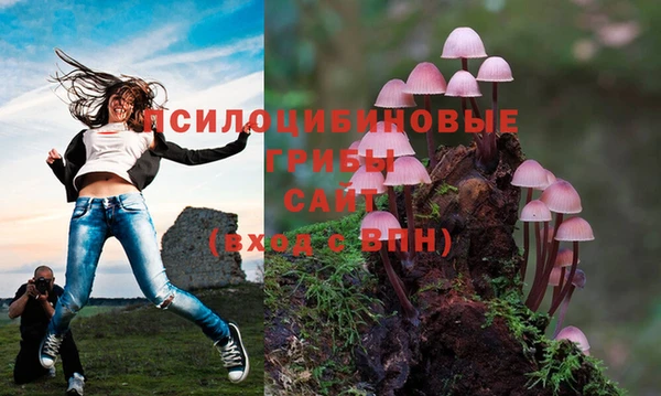 мяу мяу мука Балахна