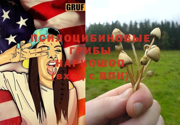винт Баксан