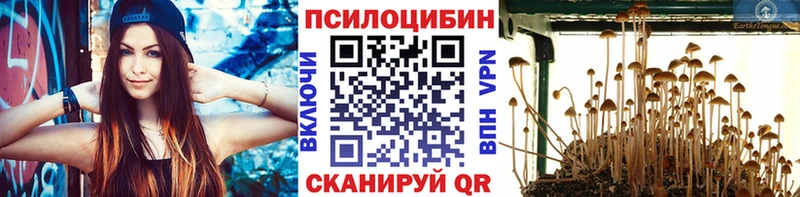 купить   Котельниково  Псилоцибиновые грибы Magic Shrooms 